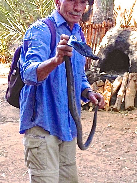 snake wrangler