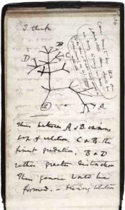 Darwin_Tree_1837